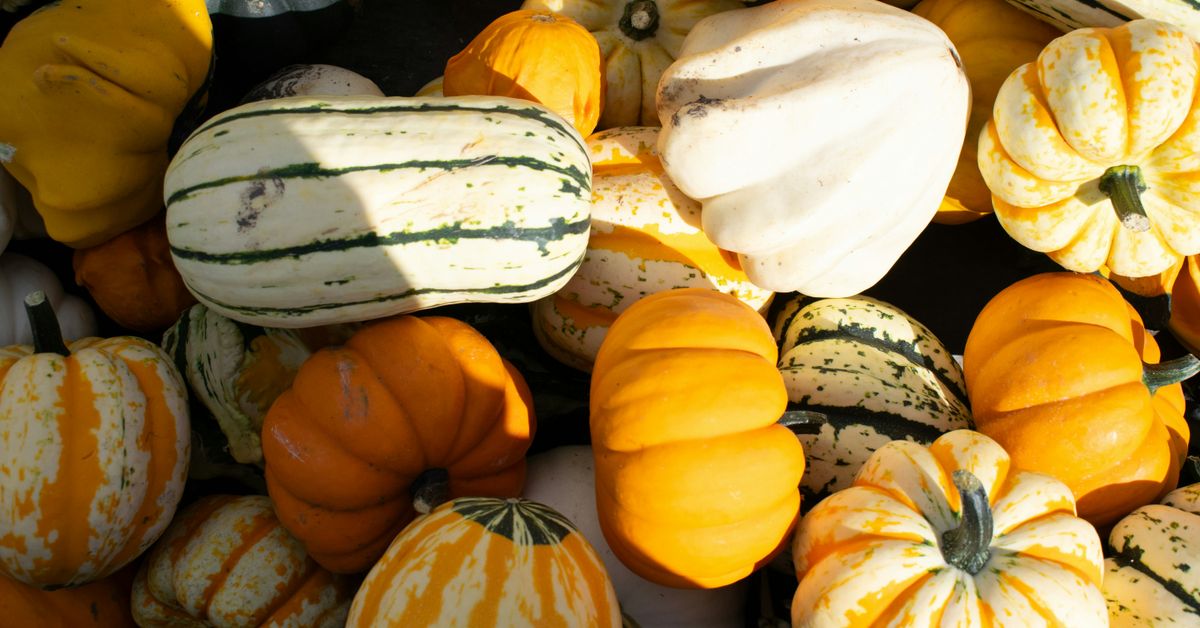 Butternut Squash Soup Recipes Sweet and Savory